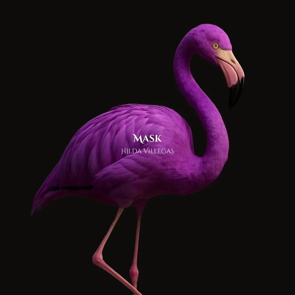Mask cover art