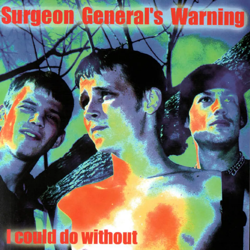 I Could Do Without cover art