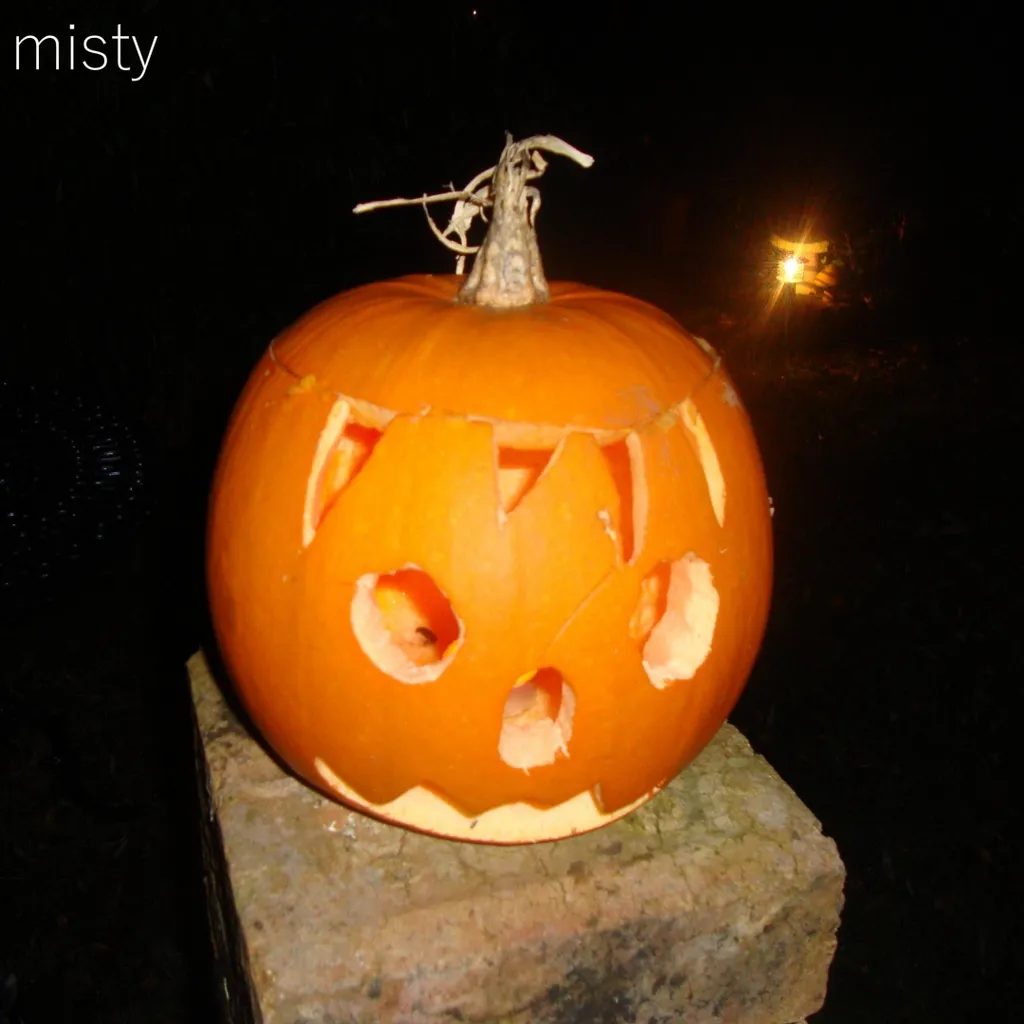 misty cover art